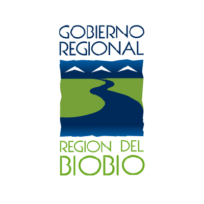 Gobierno regional del biobío