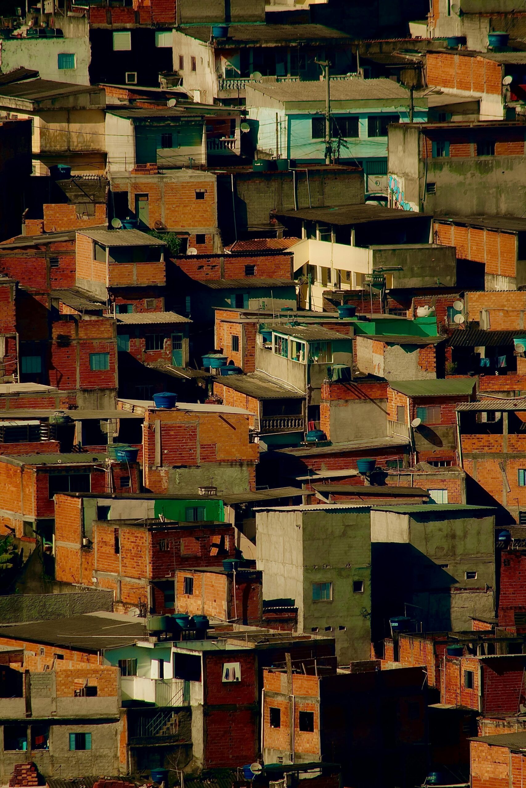 pexels-riicardol-28105278